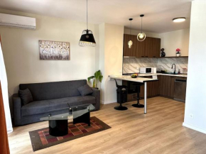 Luxury duplex in Sofia center